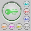 256 bit rsa encryption color icons on sunk push buttons - 256 bit rsa encryption push buttons