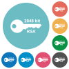 2048 bit rsa encryption flat white icons on round color backgrounds - 2048 bit rsa encryption flat round icons