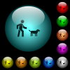 Dog walking icons in color illuminated glass buttons - Dog walking icons in color illuminated spherical glass buttons on black background. Can be used to black or dark templates