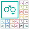 Male and felmale gender symbols flat color icons with quadrant frames - Male and felmale gender symbols flat color icons with quadrant frames on white background