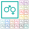 Male and felmale gender symbols flat color icons with quadrant frames on white background - Male and felmale gender symbols flat color icons with quadrant frames