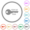 1024 bit rsa encryption flat color icons in round outlines on white background - 1024 bit rsa encryption flat icons with outlines