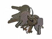 Old keys on a keyring - Bunch of keys