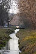 A brook is flowing in the early spring park - Small creek across a park