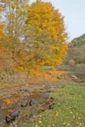 A valley with a little creek in autumn - Autumn valley