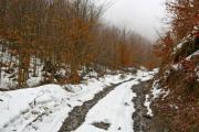 A dirt road in winter - Snowy dirt road