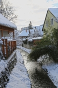 A little creek in the city - Urban creek