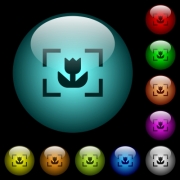 Camera macro mode icons in color illuminated spherical glass buttons on black background. Can be used to black or dark templates - Camera macro mode icons in color illuminated glass buttons - Large thumbnail