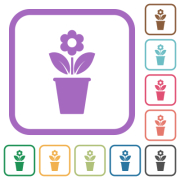 flowerpot with flower and leaves solid simple icons in color rounded square frames on white background - flowerpot with flower and leaves solid simple icons