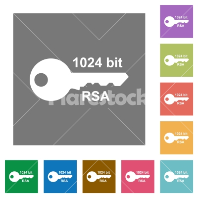 1024 bit rsa encryption square flat icons - 1024 bit rsa encryption flat icons on simple color square backgrounds - Free stock vector