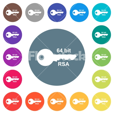 64 bit rsa encryption flat white icons on round color backgrounds - 64 bit rsa encryption flat white icons on round color backgrounds. 17 background color variations are included.
