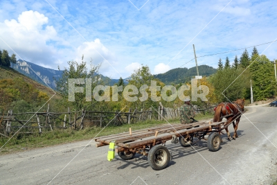 A horse carriage on the street - A wood transporter horse-drawn wagon on a mountain street