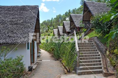 Bungalows - Bungalows in the jungle on Madagascar