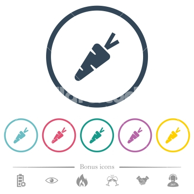 Carrot flat color icons in round outlines - Carrot flat color icons in round outlines. 6 bonus icons included.