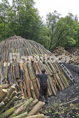 Charcoal pile - A man is building a charcoal pile