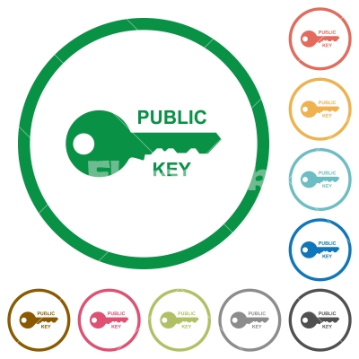Public key flat icons with outlines - Public key flat color icons in round outlines on white background